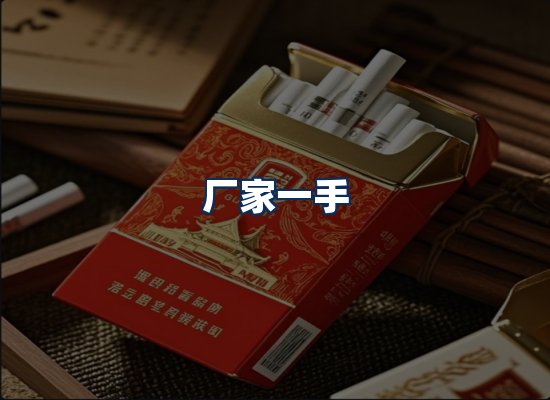 专业团队办公环境